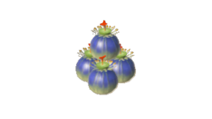 TotK Bomb Bouquet Icon.png