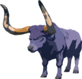 Water Buffalo