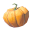 BotW Fortified Pumpkin Icon.png
