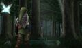 Link walking in a forest accompanied by a fairy