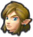 Link's alternate icon