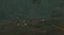A screenshot of the Side Quest.