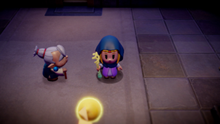 A close-up screenshot of Princess Zelda in the Hyrule Castle Underground. She is wearing her Disguise, and both Impa and Tri are looking at her.