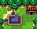 Exterior of Crazy Tracy's Health Spa from Link's Awakening DX