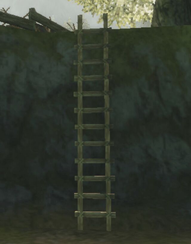 File:TP Ladder Model.jpg - Zelda Wiki