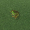 080 Tireless Frog