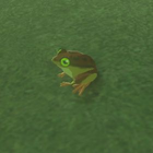 Tireless Frog Normal: 080 (080) Master: 080 (080)