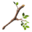 BotW Tree Branch Icon.png