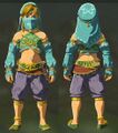 Link wearing the Gerudo Outfit