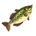 Hyrule Bass Food icon from Hyrule Warriors: Definitive Edition