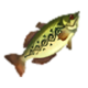 HWDE Hyrule Bass Food Icon.png