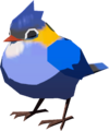 Blue Sparrow