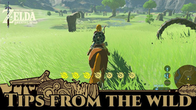 BotW Tips from the Wild Banner 17.png