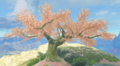 Cherry-Blossom Tree