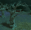 An Ogre Tree in the Depths from Tears of the Kingdom