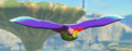 Rainbow Pigeon