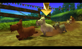 Dog Race 500