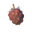 TotK Roasted Wildberry Icon.png