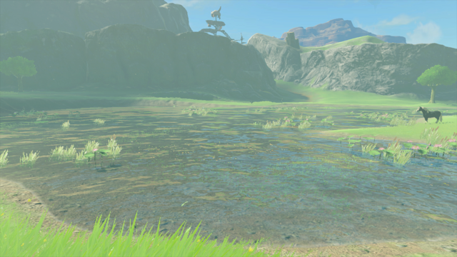 Haran Lake - Zelda Wiki