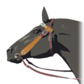 Stable Bridle
