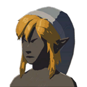 HWAoC Cap of the Wild Gray Icon.png