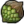 TFH Palm Cone Icon.png