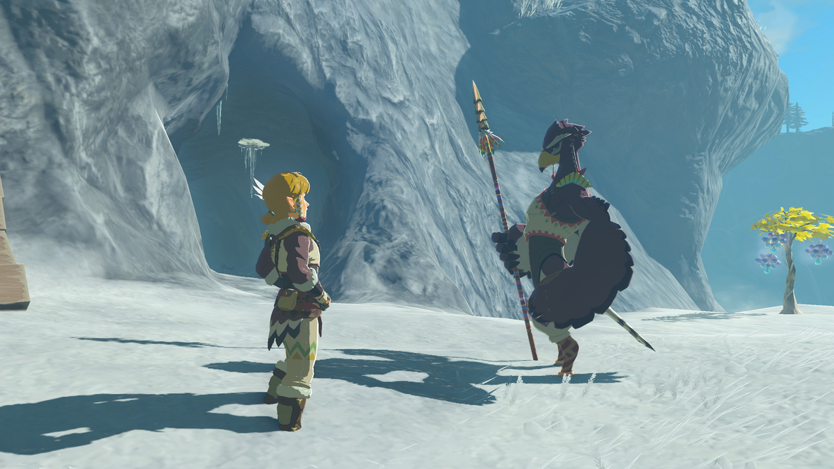 Crossing the Cold Pool - Zelda Wiki