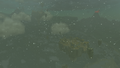 South Hebra Sky Archipelago