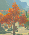 A Tree of the kind found in the Akkala Region from Breath of the Wild