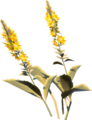 Electric Safflina