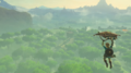 Link Paragliding over the Great Plateau from Breath of the Wild