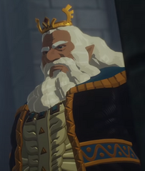 King Rhoam - Zelda Wiki