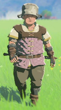 TotK Wingo Model.png