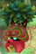 Octorok (Grass)