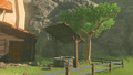 Zelda's Secret Well