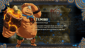 An in-game blurb about Yunobo from Hyrule Warriors: Age of Calamity