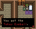 Link obtaining the Tokay Eyeball