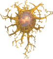 The Demon Dragon's last Weak Point