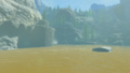 Zora River prior to completing "Sidon of the Zora" from Tears of the Kingdom