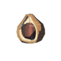 Chickaloo Tree Nut icon from Hyrule Warriors: Age of Calamity
