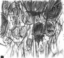 Croquis conceptuels du Village Lointain