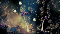 Grande salle verticale dans le Coeur des Champignons