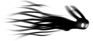 Shade Cloak.png
