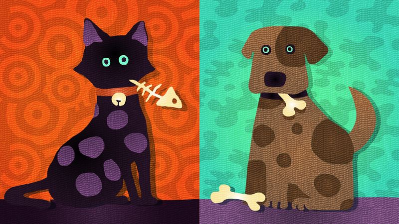 Fichier:North American Splatfest Cats vs Dogs.jpg
