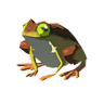 Grenouille vigueur