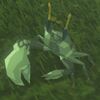063/063 Crabe enduro
