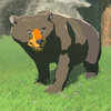 026/026 Ours Mellivore