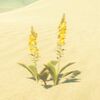 188(191)/196 Herbes volt