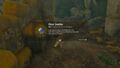 Obtention d'une fleur bombe dans Tears of the Kingdom.
