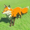 019/019 Renard des plaines